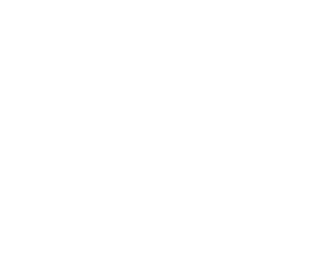 Lotus Group